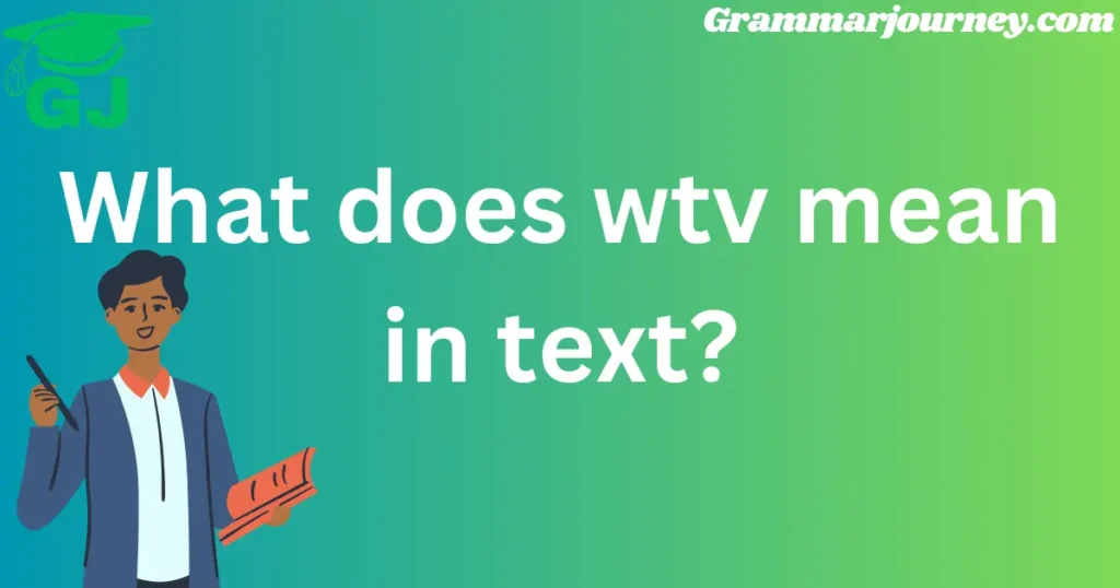 what does wtv mean in text

