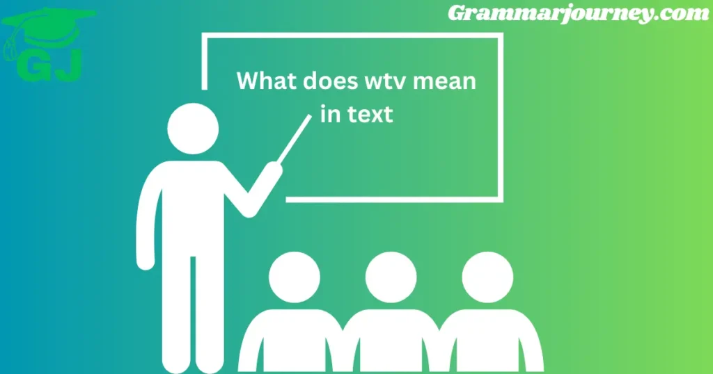 what does wtv mean in text