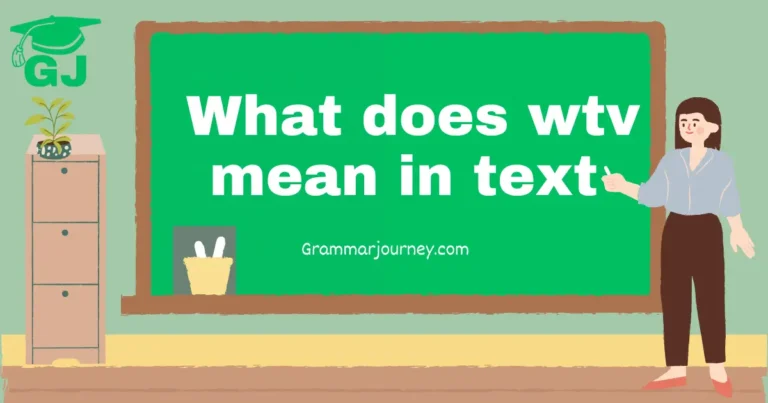 what does wtv mean in text