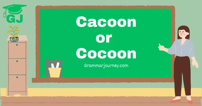 cacoon or cocoon