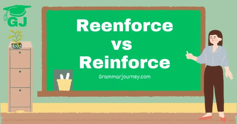 reenforce vs reinforce