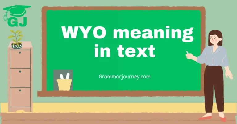 wyo meaning in text